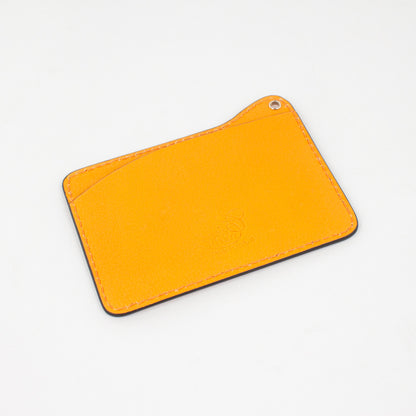 P1034 LD PASSCASE Col.Arancione
