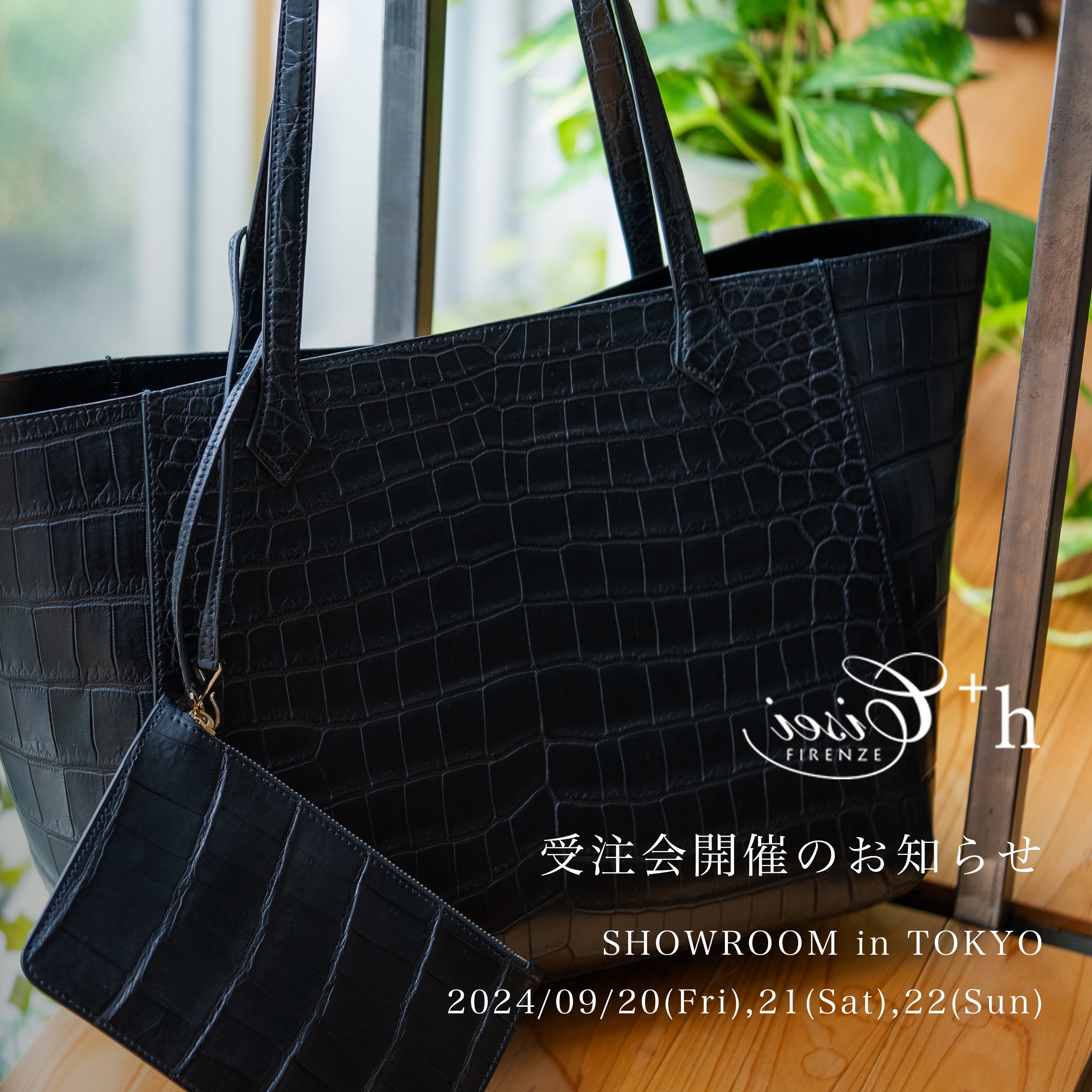 Cisei （シセイ）公式 ONLINE SHOP